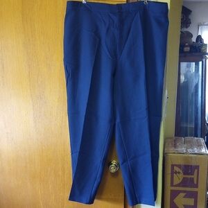 Lasting Comfort Plus Size 28 Navy Blue Polyester Pants/Slacks/Trousers